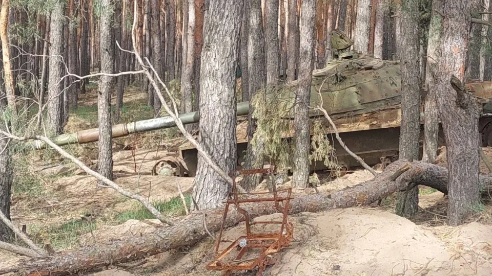 Ліс біля Сєвєродонецька