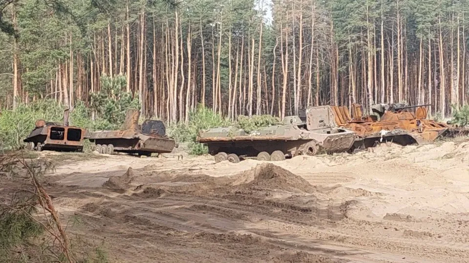 Ліс біля Сєвєродонецька