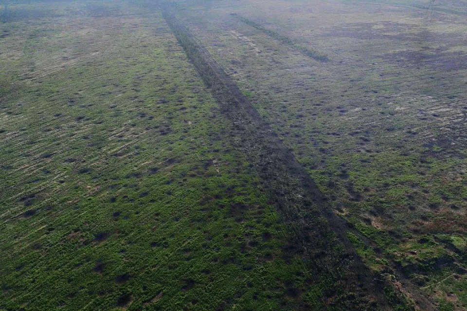 степи Донеччини Фото: libkos