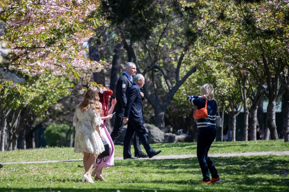 Сад каменів у парку Кіото