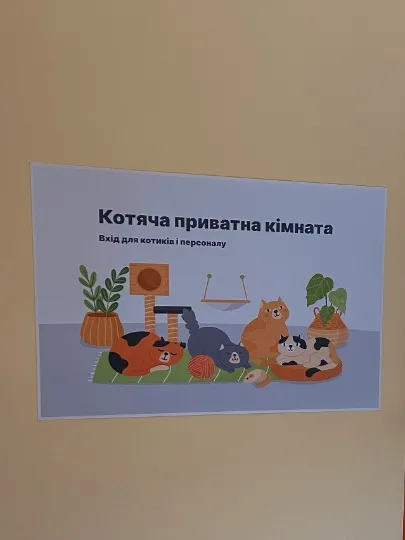 Скріншот