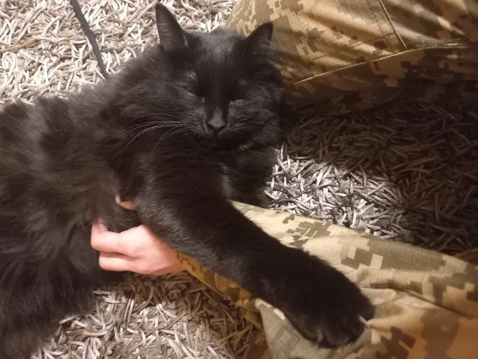 з архіву Анастасії