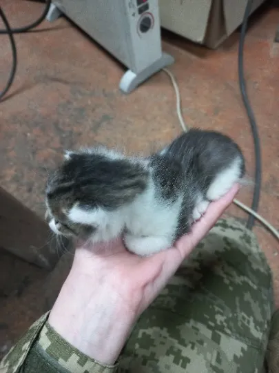 з архіву Анастасії