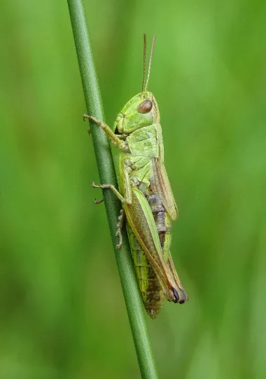 Фото: Роман Парцей