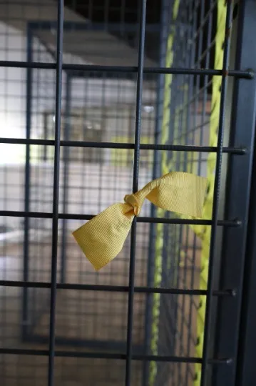 Експонати, присвячені активістам руху Жовта стрічка