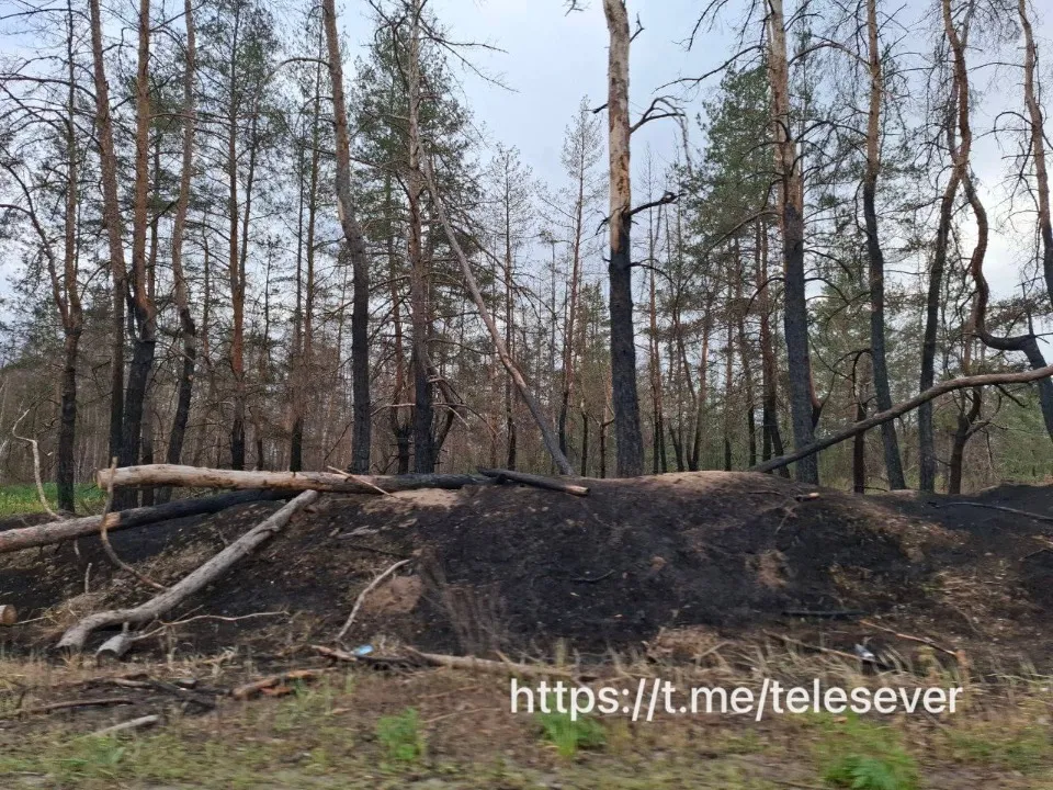 пожежа Сєвєр