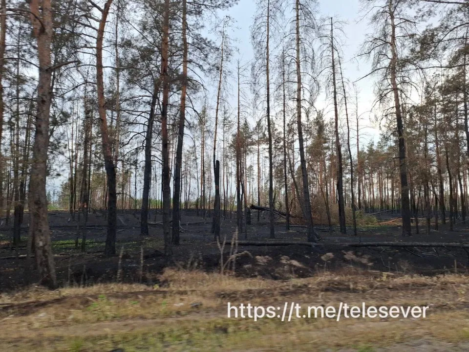 пожежа Сєвєр