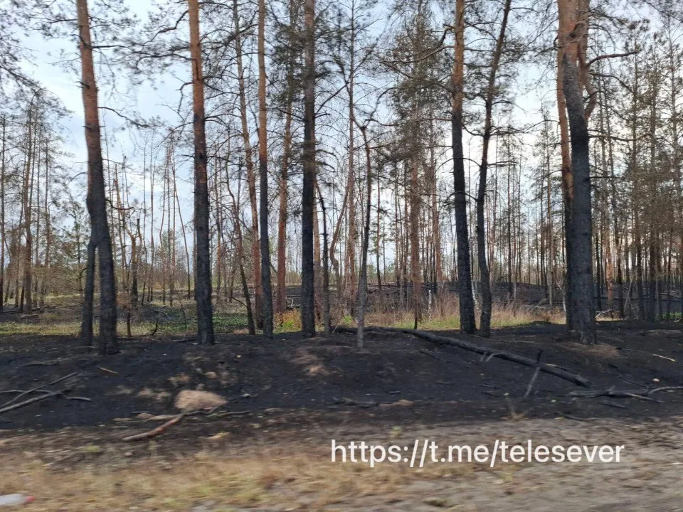 пожежа Сєвєр