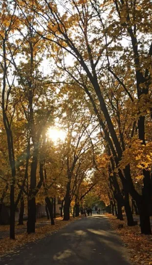 Сєвєродонецьк. Фото: Єва Римар