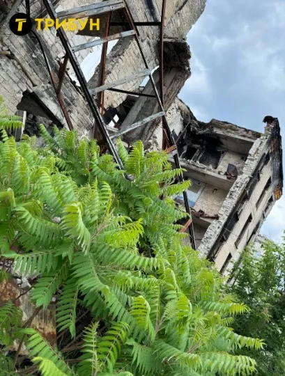 Сєвєродонецьк