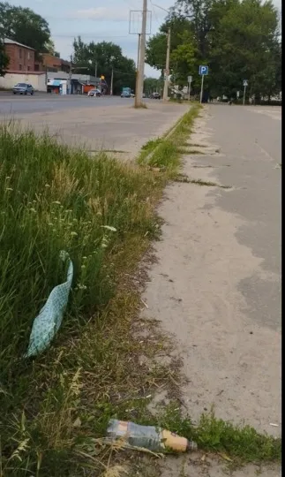 порослі бур’янами вулиці та сміття в Луганську