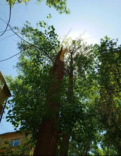 Кв. Молодіжний, 12, Луганськ