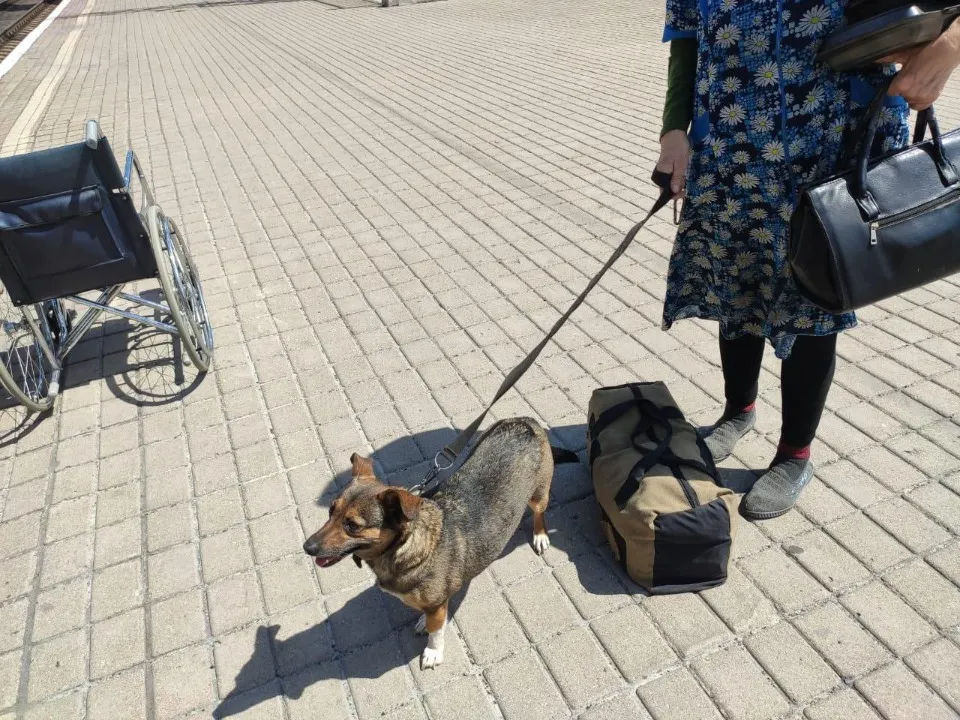 евакуація Донеччина