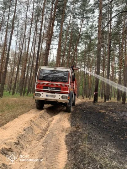 На Харківщині горить ліс