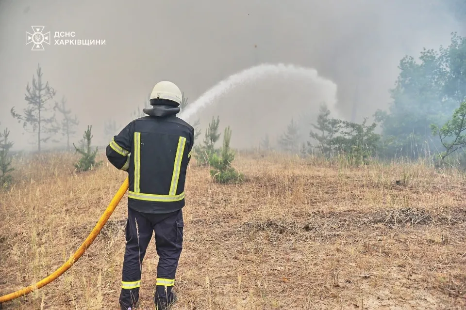 На Харківщині горить ліс