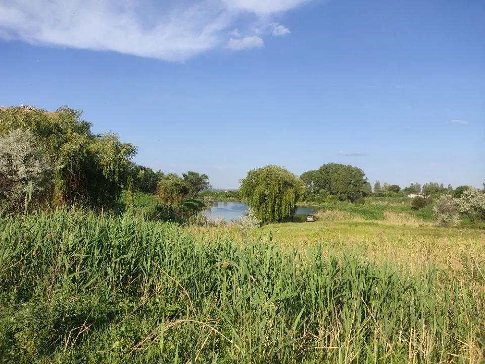 фото: Ганна Невідома