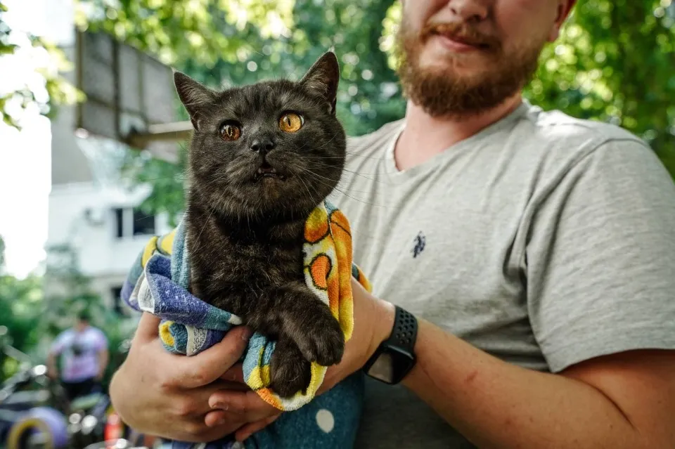 Полтавщина