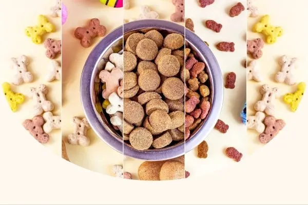 корм для собак