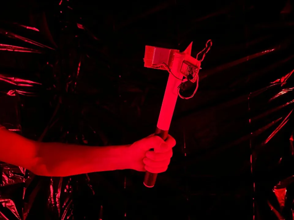 Проєкт Лапова