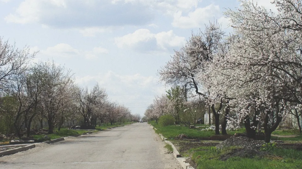 Луганськ, 2011 рік Фото: Сергій