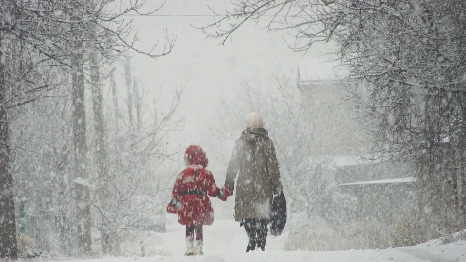 Луганськ, 2011 Фото: Сергій
