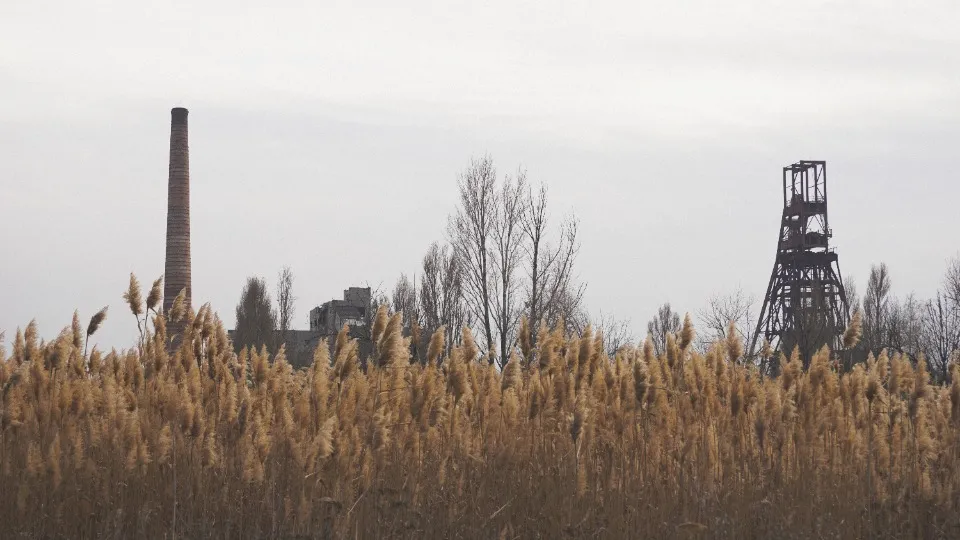 Біля Мар'янки, 2018 рік Фото: Сергій