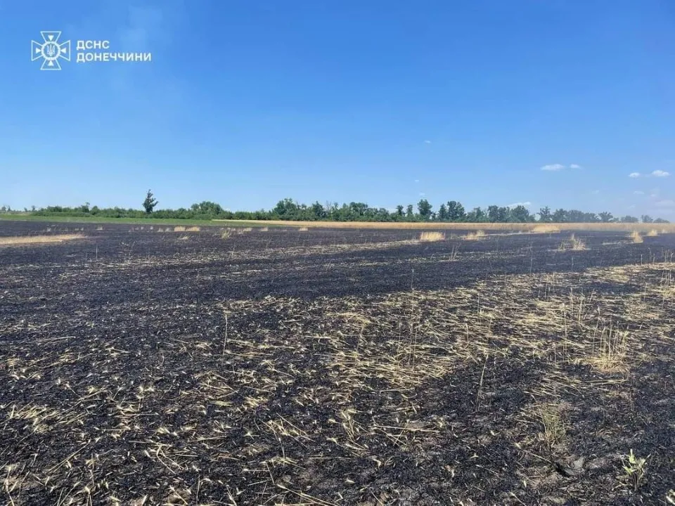 Російські війська знищують житні поля на Донеччині