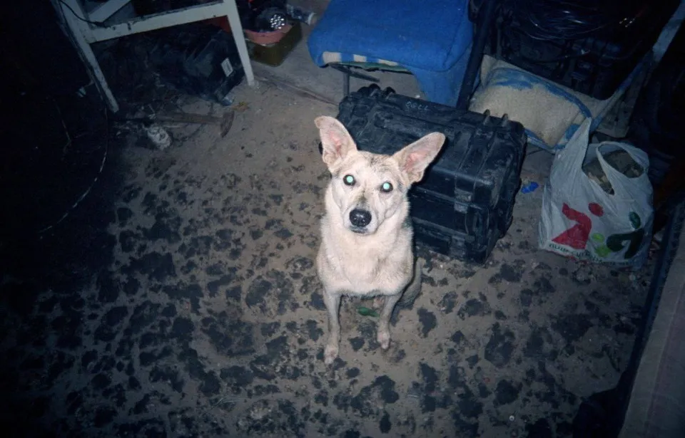 Олексндр Рубіжанин