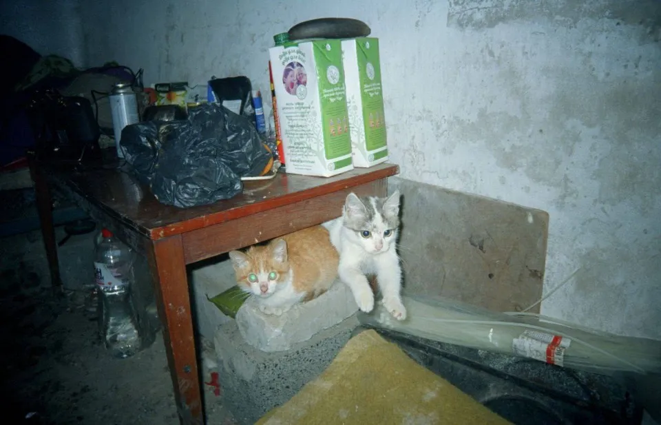 Олексндр Рубіжанин