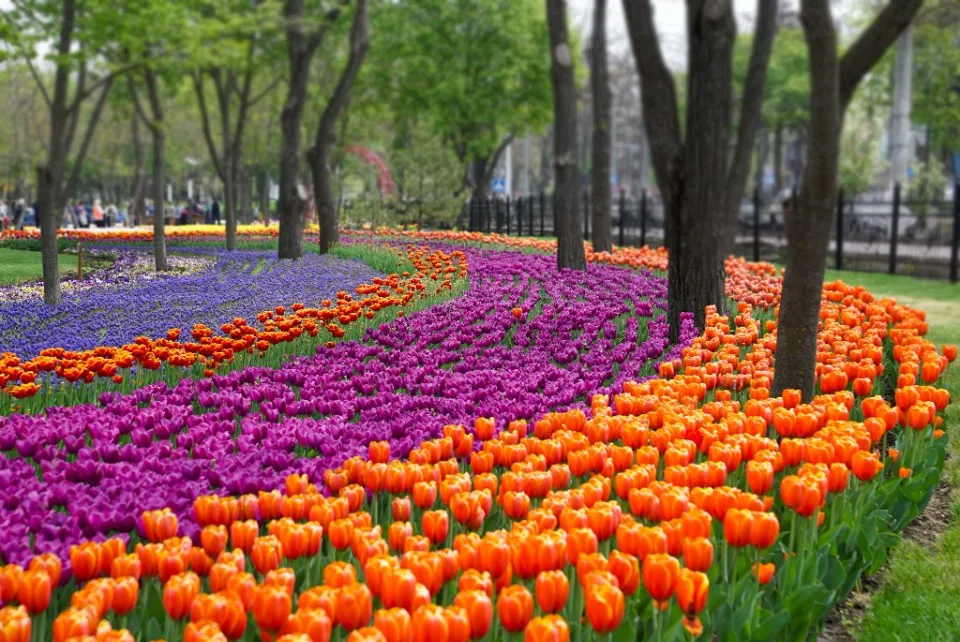 парк Веселка в Маріуполі до окупації