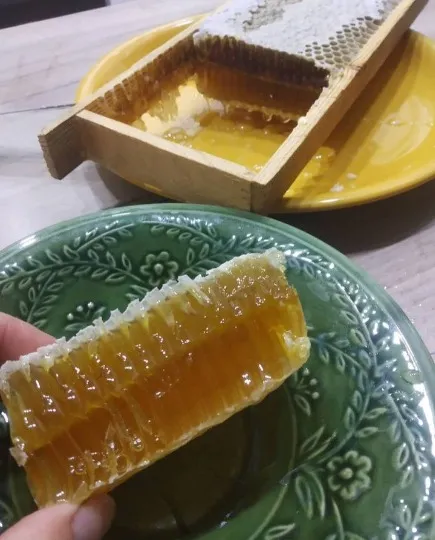 Пасіка в Сєвєродонецьку