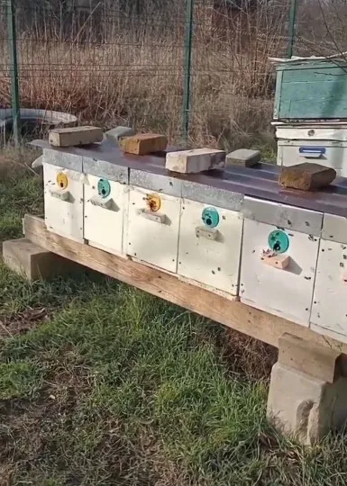 Саморобні вулики для бджіл