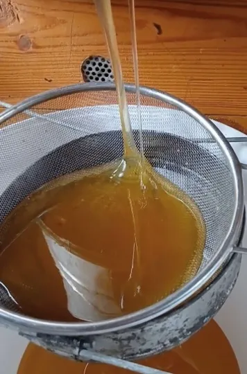 Мед із пасіки під Дніпром