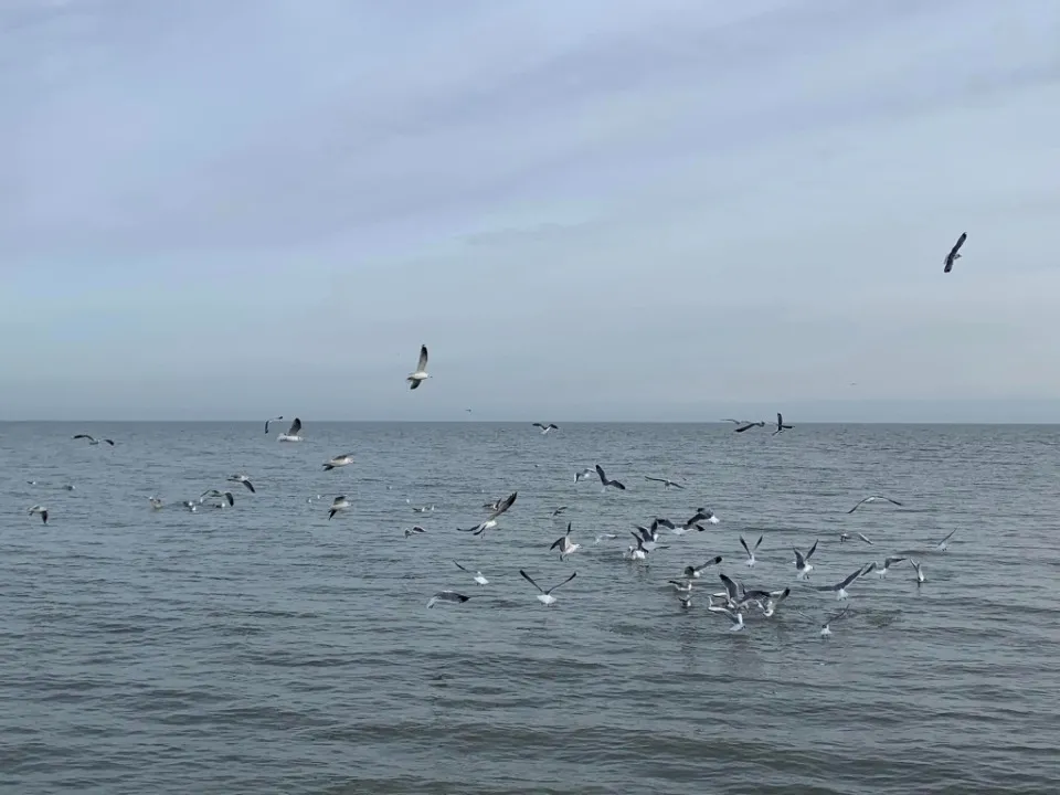 Море в Маріуполі. Фото: Марина Молошна