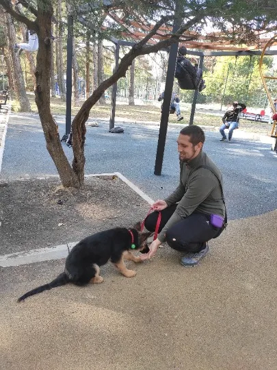 Ярослав Ждамаров