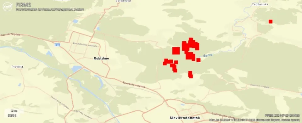 Пожежа в лісі поблизу Рубіжного