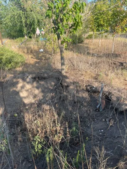 Парк на Південному, Рубіжне