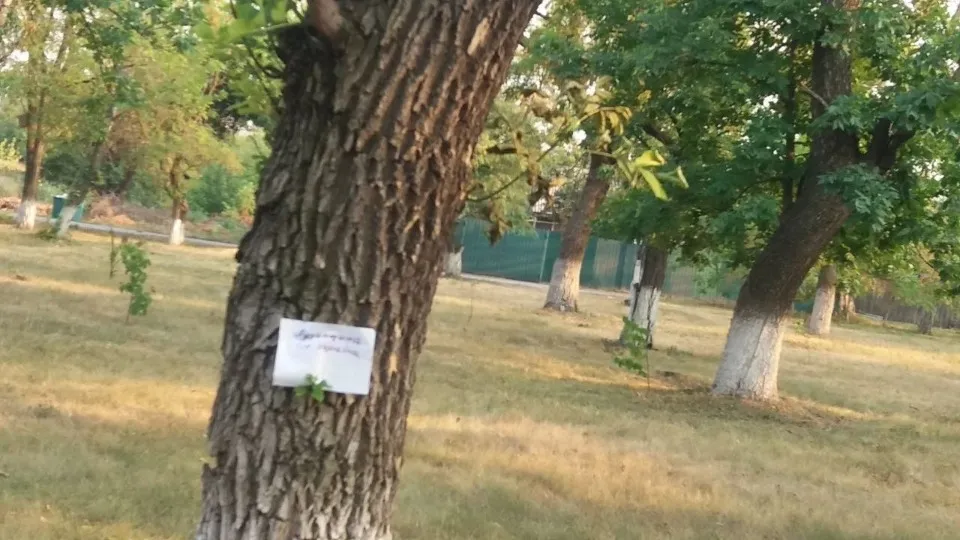 спротив на Луганщині