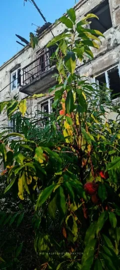 Новотошківське на Луганщині