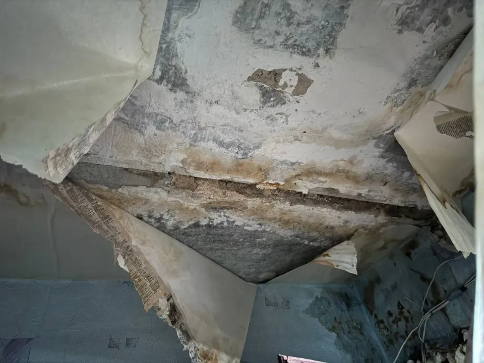 З відкритих джерел