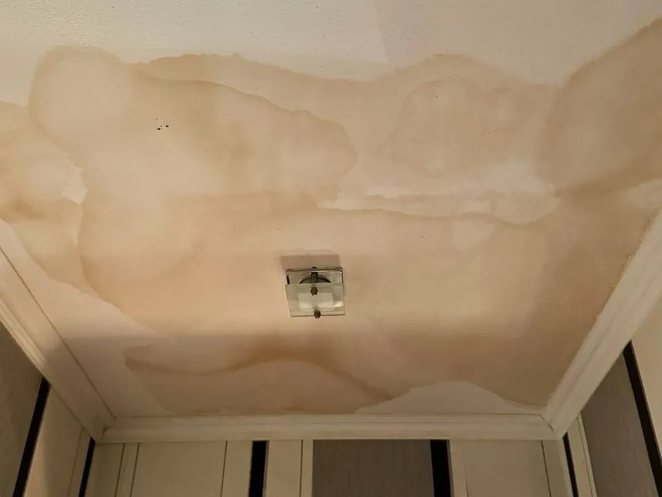 з відкритих джерел