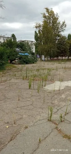 Рубіжне