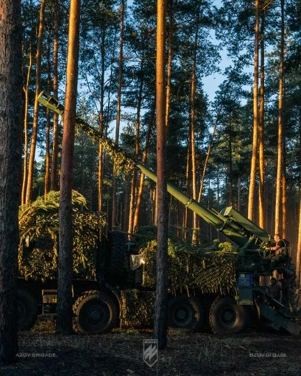 Ліс біля Кремінної