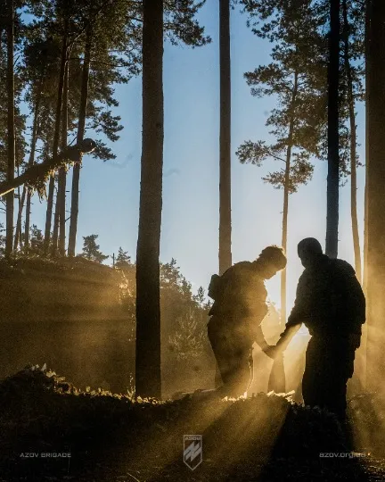 Ліс біля Кремінної