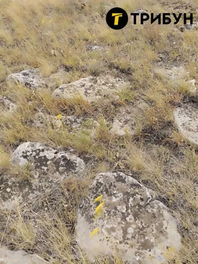 Луганський Стоунхендж