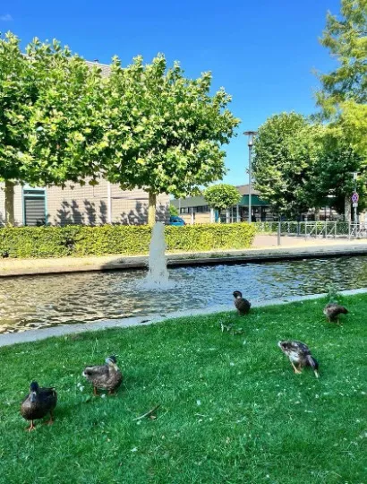 Анастасія Гребенюк