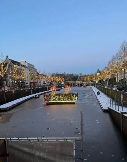 Анастасія Гребенюк