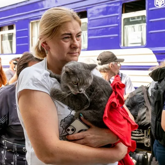 евакуація з Покровська на Донеччині