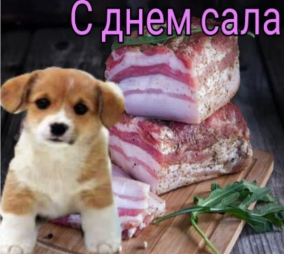 день сала