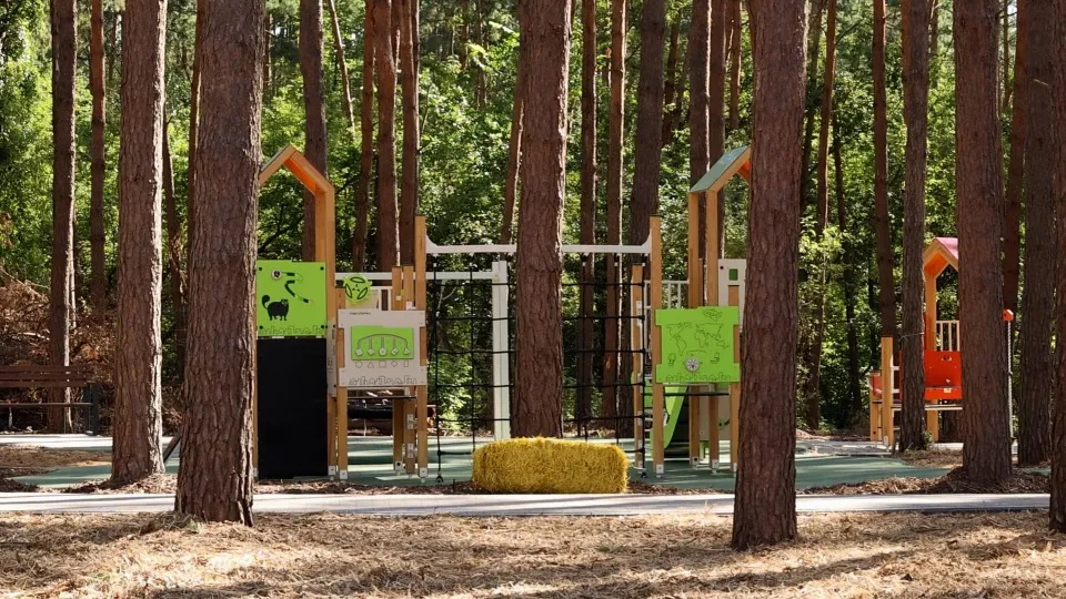 У Київській області з’явилося перше інклюзивне містечко для ветеранів